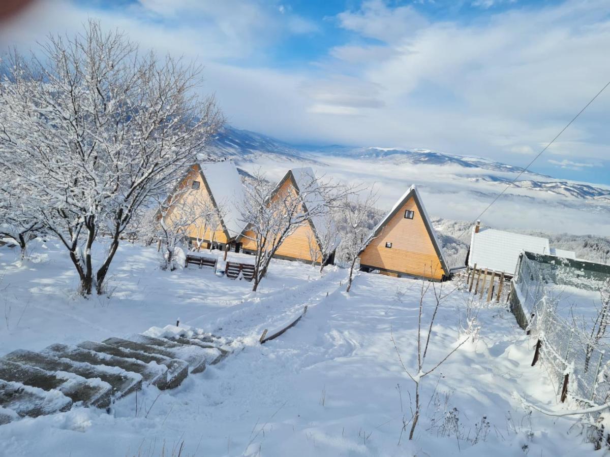 Willa Cez A-Frame Petroszany Zewnętrze zdjęcie